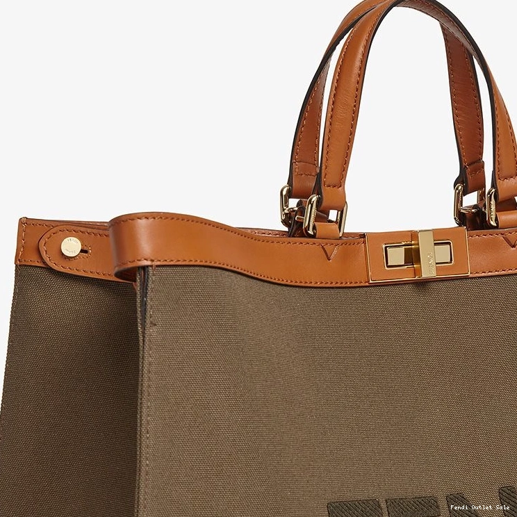 Affordable X-Tote Logo Peekaboo In Medium ROMA Canvas Brown Fendi 0712